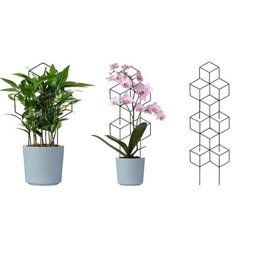Support pour Plante Grimpante Interieur
