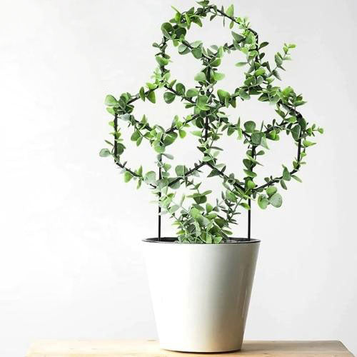 Support pour Plante Grimpante Interieur - Univers Plante