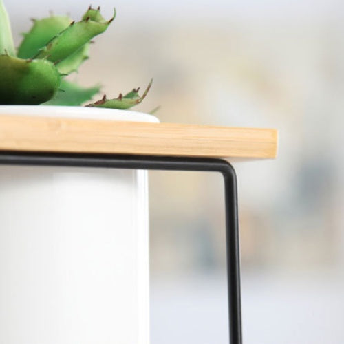 Support Plante Design