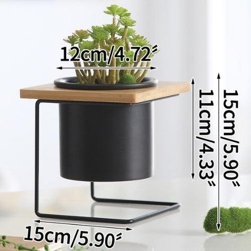 Support Plante Design