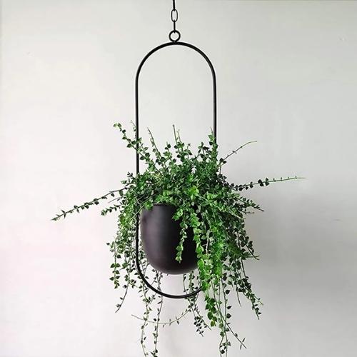 Pot Plante Suspension